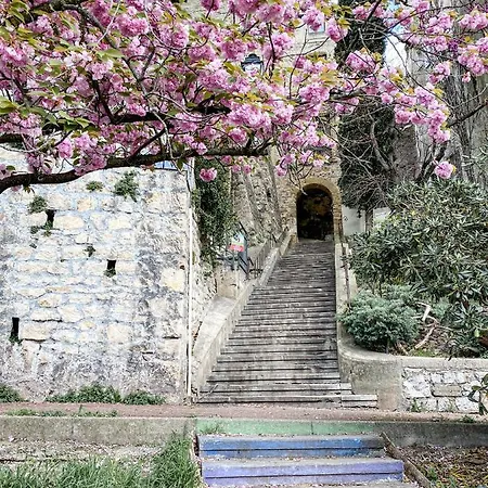 Apartment 1er Etage Pieton Place De La Pierre Valence (Drome)