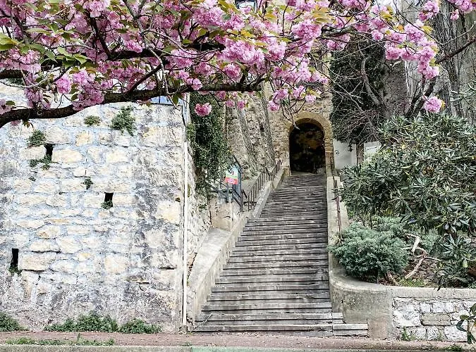 Apartment 1er Etage Pieton Place De La Pierre Valence (Drome)